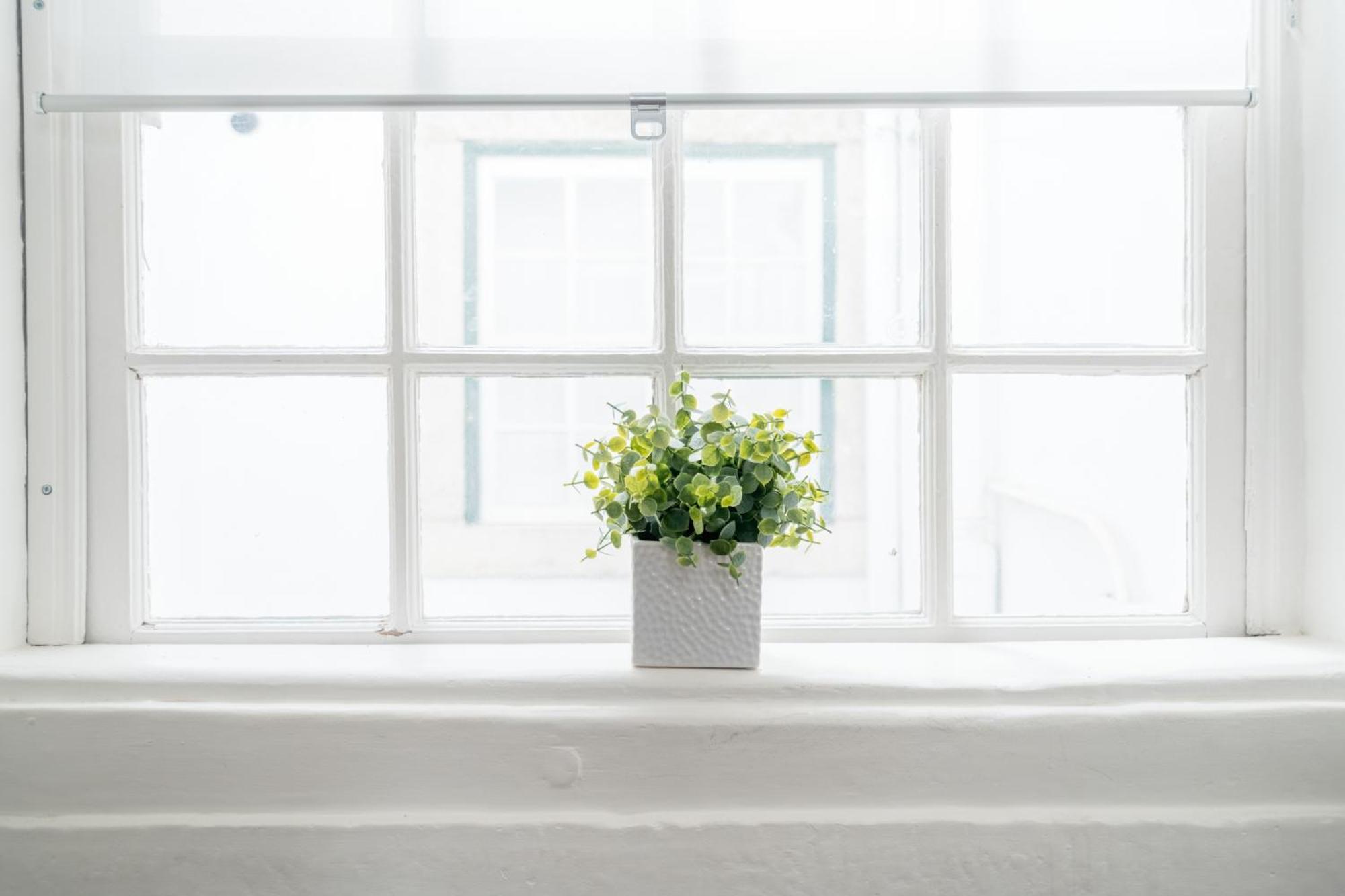 Pedrasnegras30 Lisbon Lofts & Apartments 客房 照片